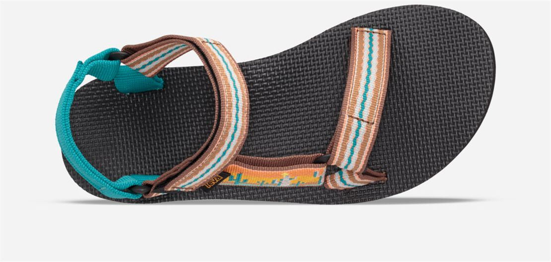 Women's Original Universal - CACTUS SUNFLOWER
