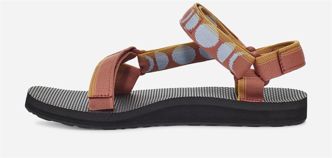 Women's Original Universal - HAZE ARAGON