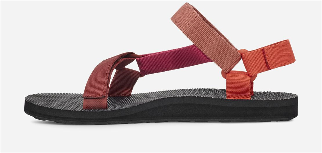 Women's Original Universal - ORANGE MULTI