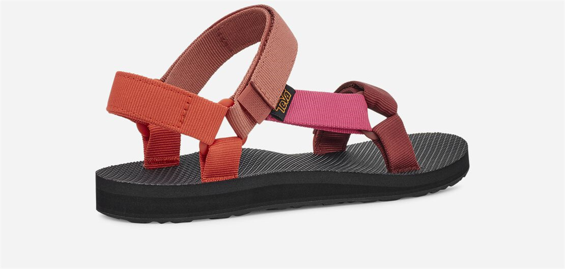 Women's Original Universal - ORANGE MULTI
