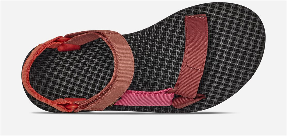 Women's Original Universal - ORANGE MULTI
