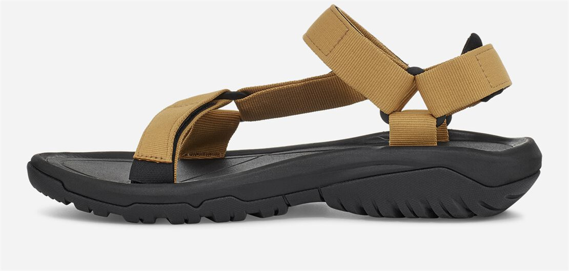 Men's Hurricane XLT2 - HONEY MUSTARD