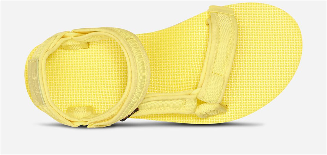 Women's Flatform Universal Mesh Print - LIMELIGHT