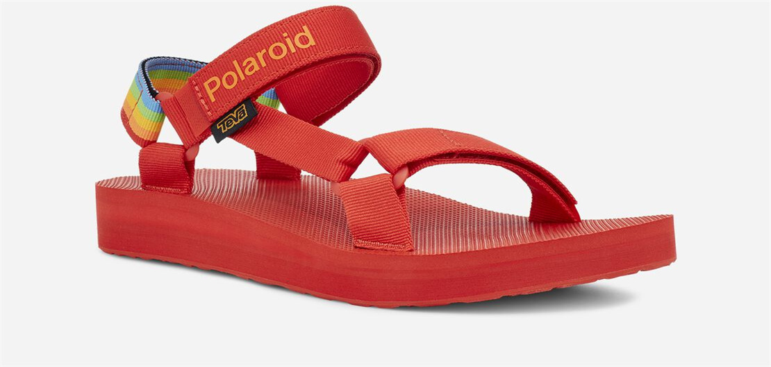 Men's Mid Universal - Polaroid - RED