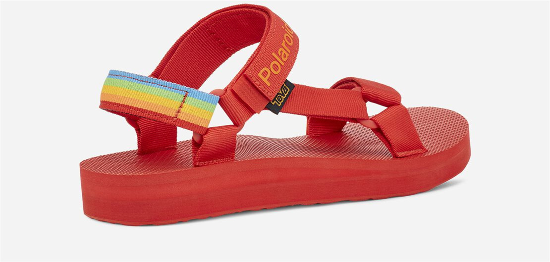 Men's Mid Universal - Polaroid - RED
