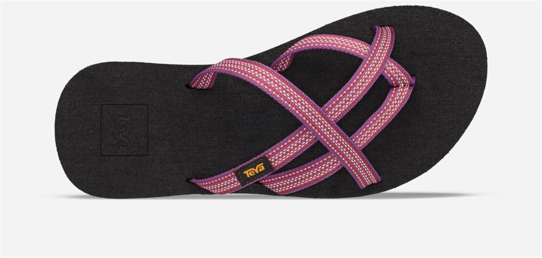 Women's Olowahu - ANTIGUOUS RED PLUM