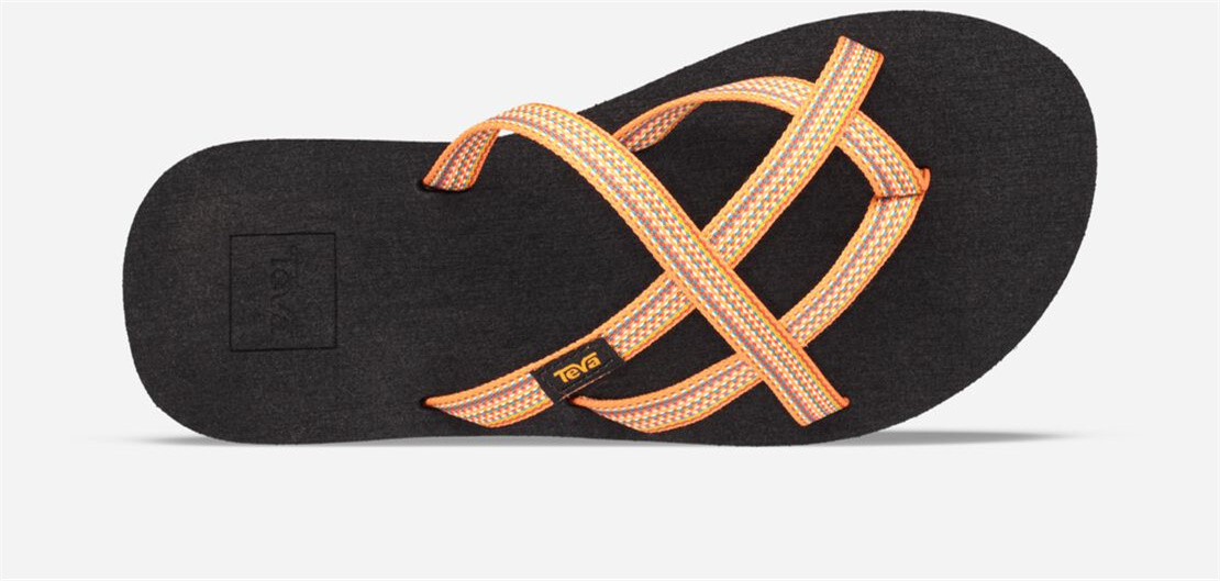 Women's Olowahu - ANTIGOUS SUNFLOWER